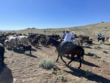 USA-Montana-Battle Creek Ranch